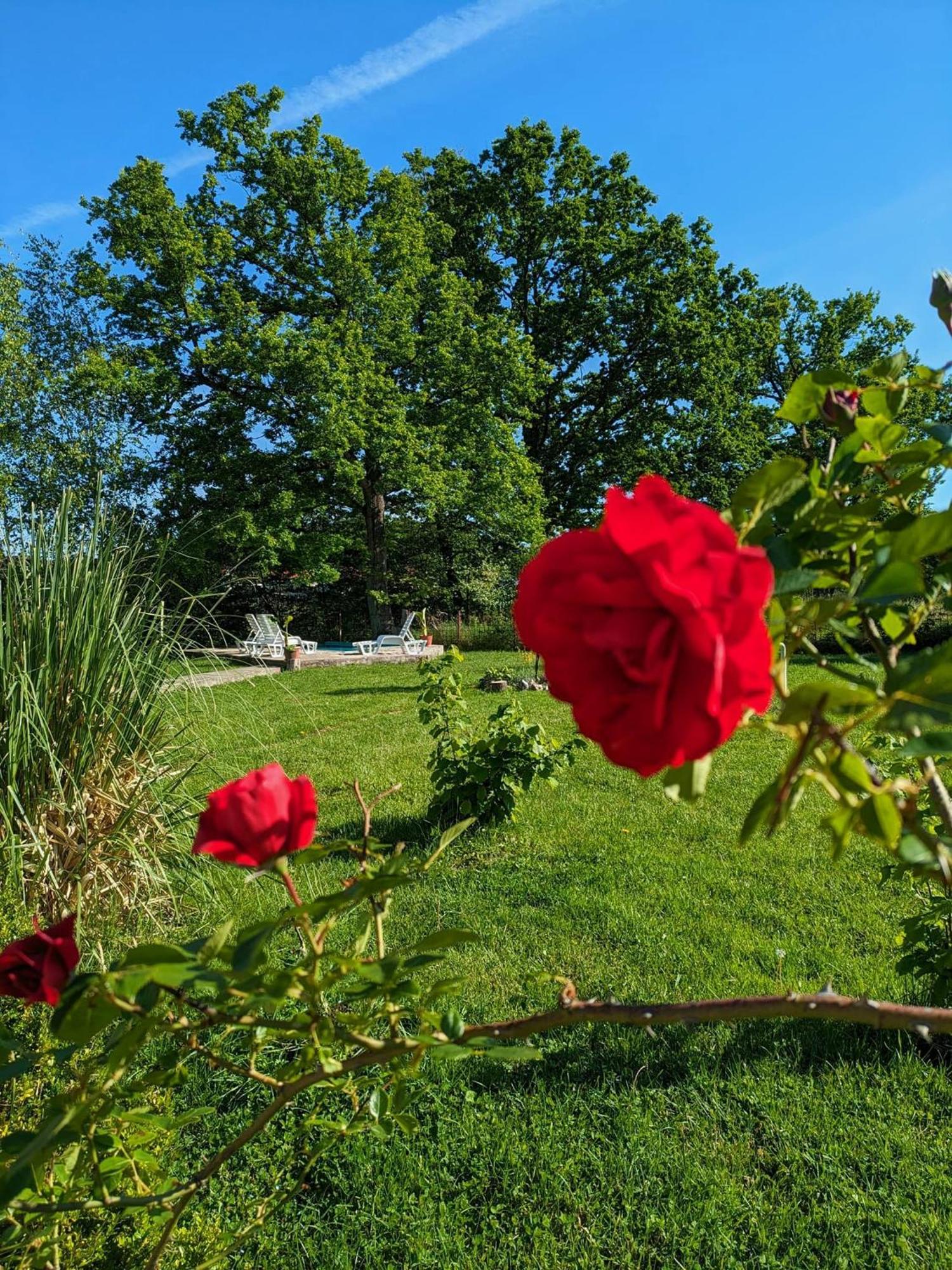 Vacation Home Keskic Velika Gata Buitenkant foto